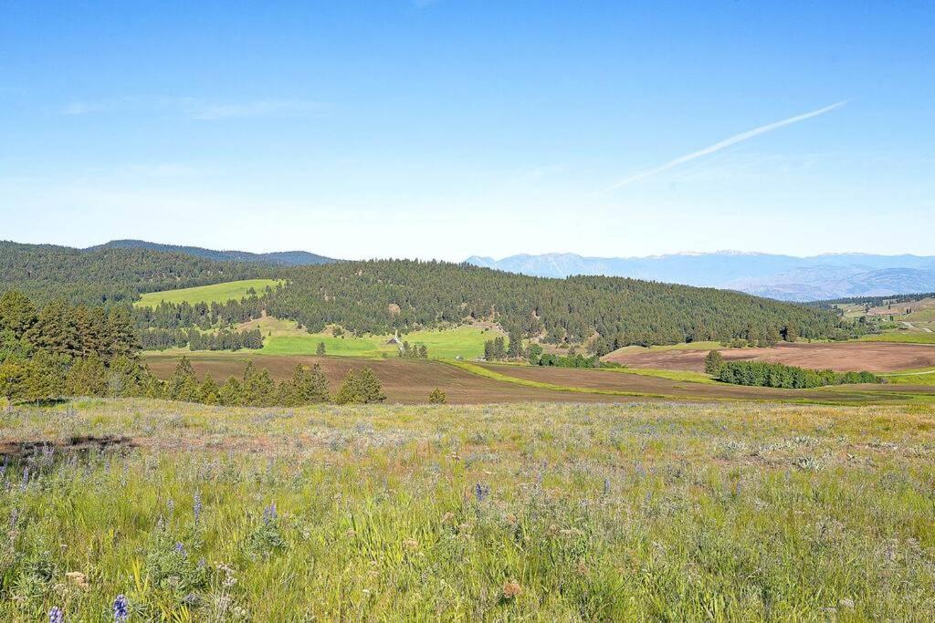 Wilderness Cabin - Eden Valley Oroville Extérieur photo